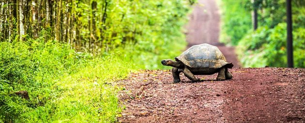 Galapagos med Winberg Travel