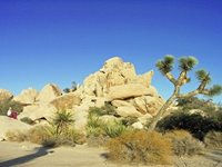 Joshua Tree National Park, USA Joshua Tree National Park, USA