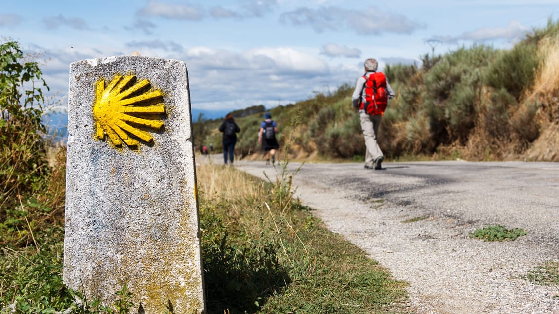 Camino de Compostela