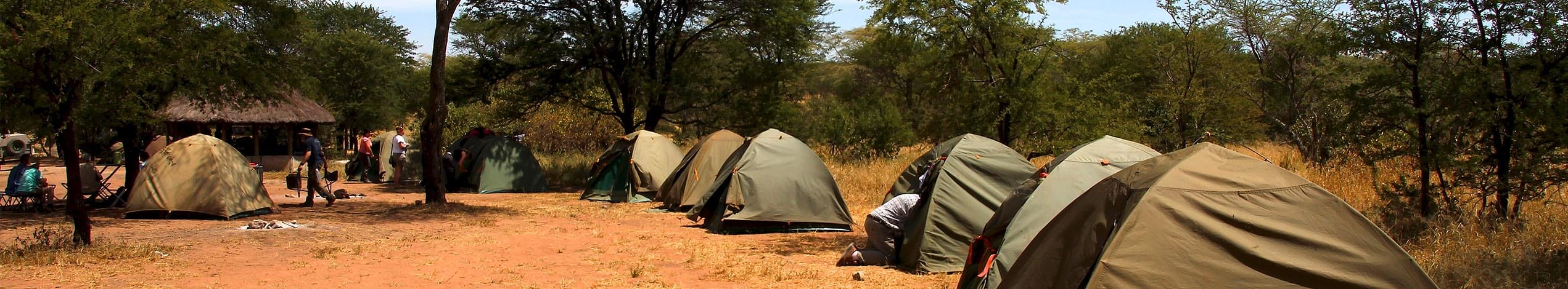 Campingsafari i Tanzania och Zanzibar