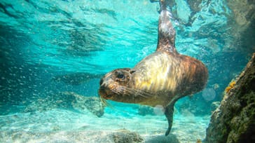 Följ med Winberg Travel på äventyr i Ecuador och på Galapagos