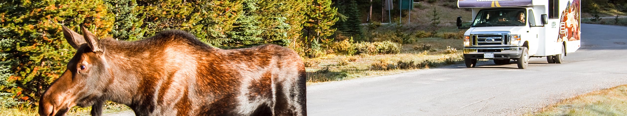 Med husbil i västra Kanada