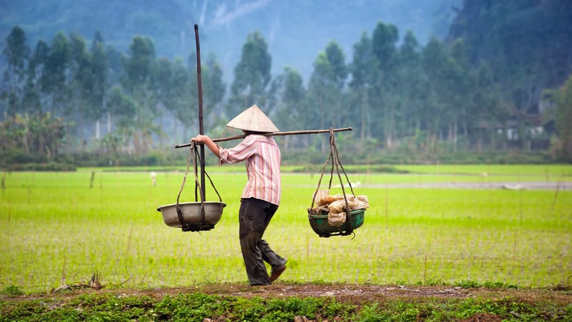 På äventyr i Vietnam