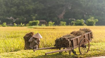 Vietnam med tåg