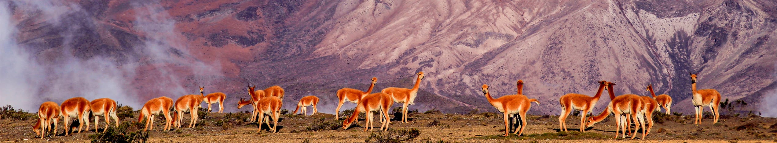 Vulkaner, Amazonas & Stillahavskusten