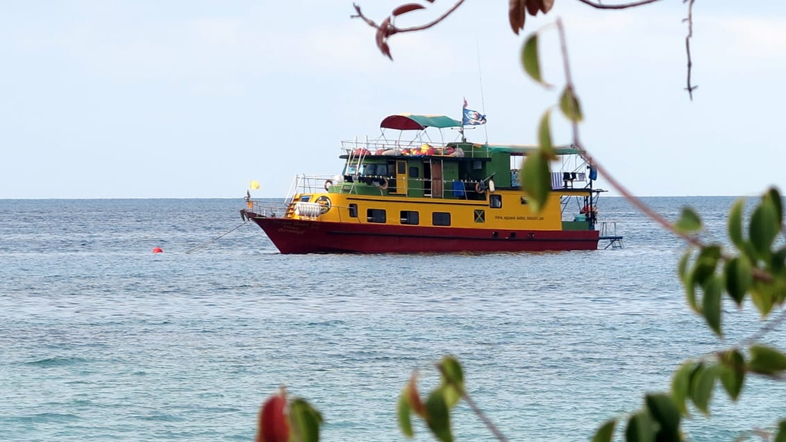Snorkling liveaboard