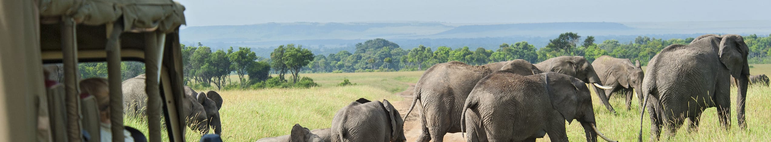 Studieresa till Nairobi i Kenya