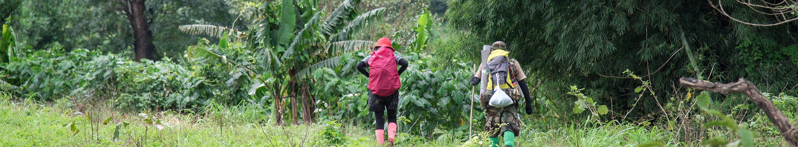 Trekking & cykel i Chiang Mai