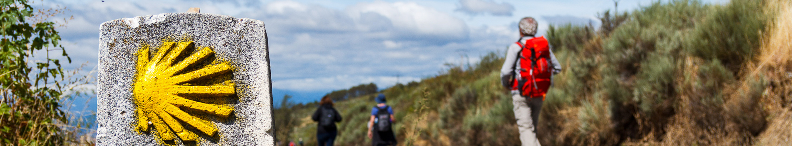 Pilgrimsvandring - Santiago de Compostela