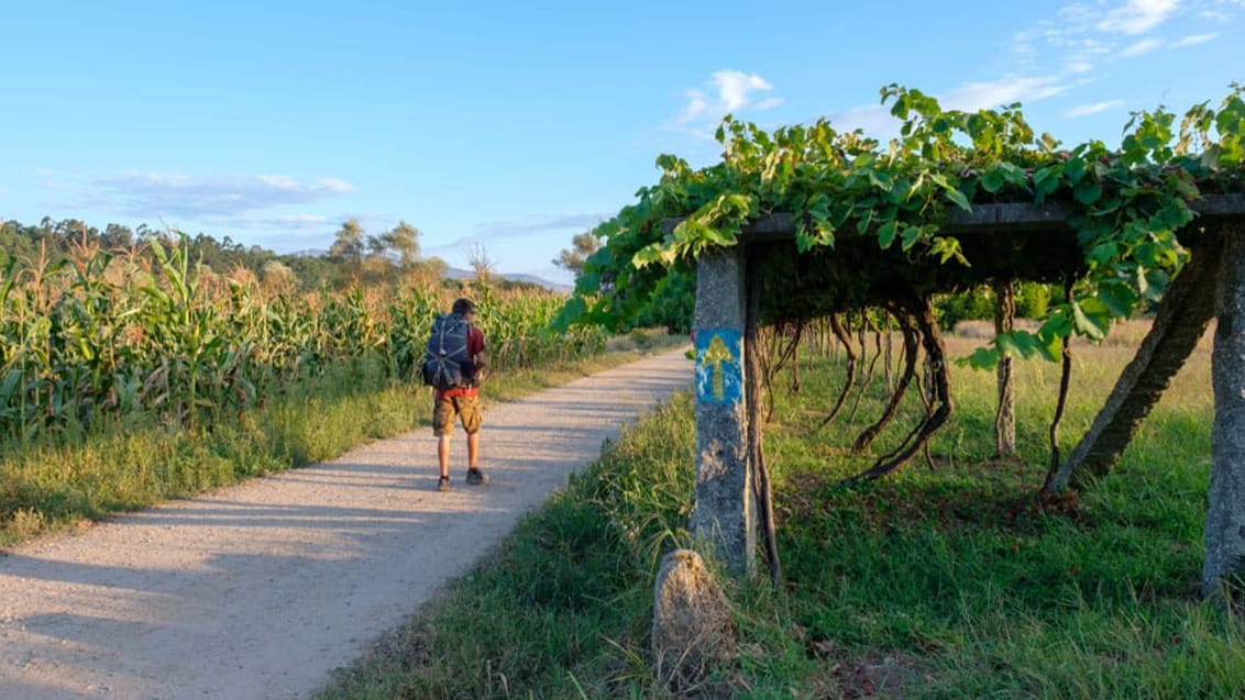 Pilgrimsvandring - Santiago de Compostela