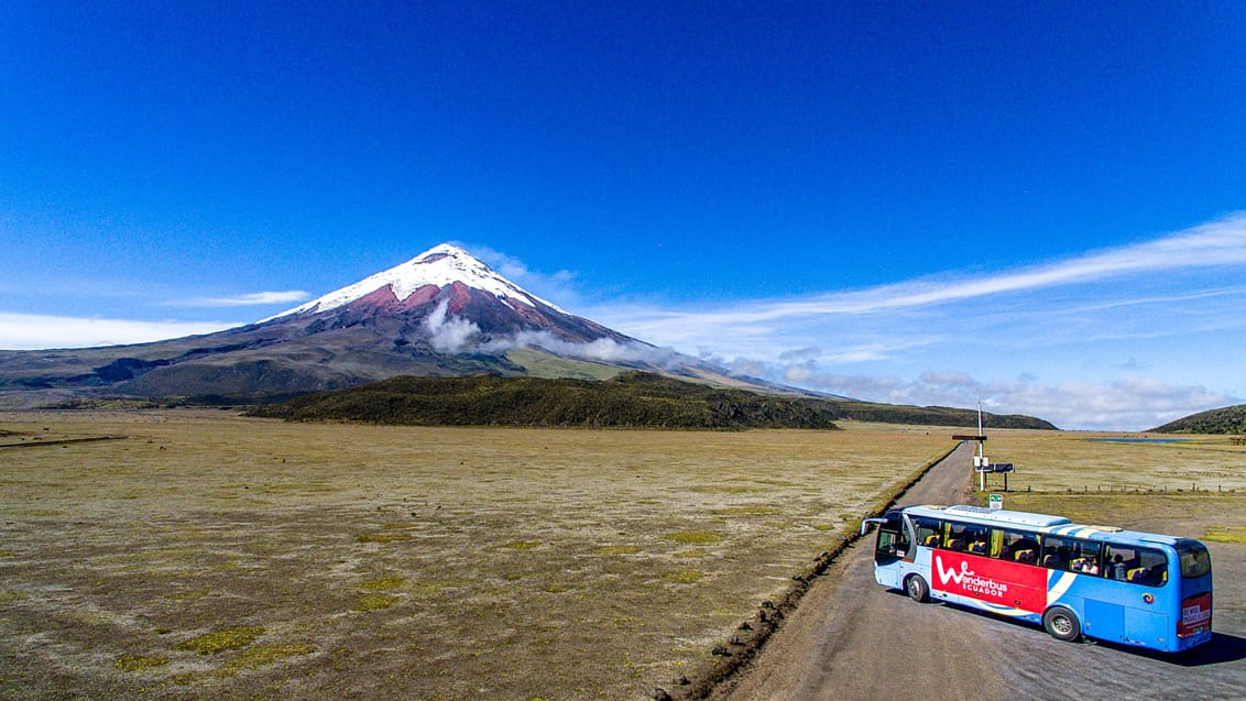 Busspass ecuador