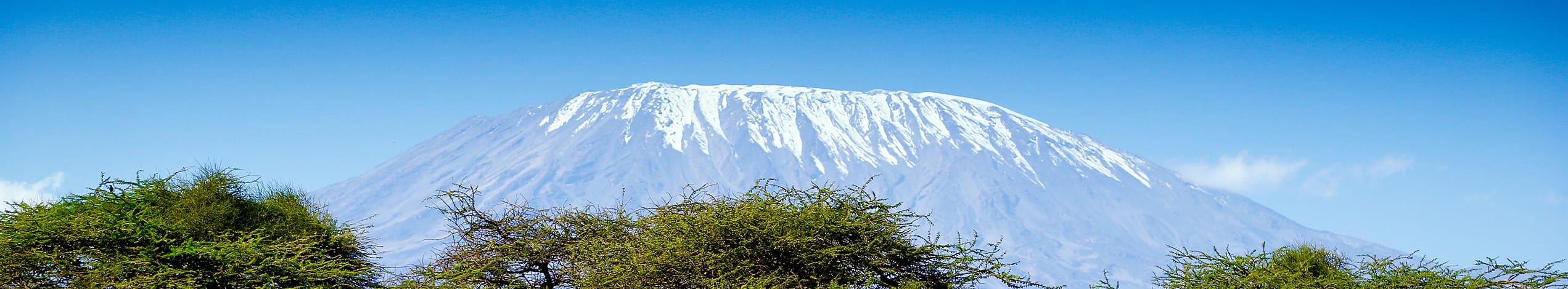 Det bästa av Kenya och Tanzania