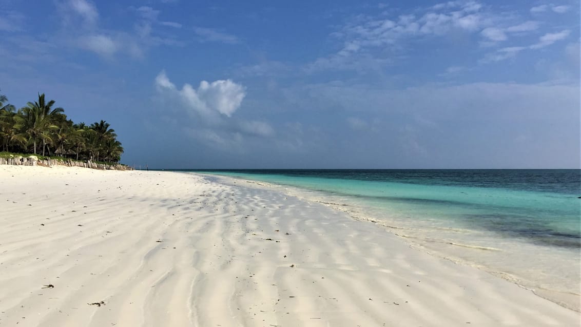 Exotiska Zanzibar