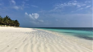 Exotiska Zanzibar