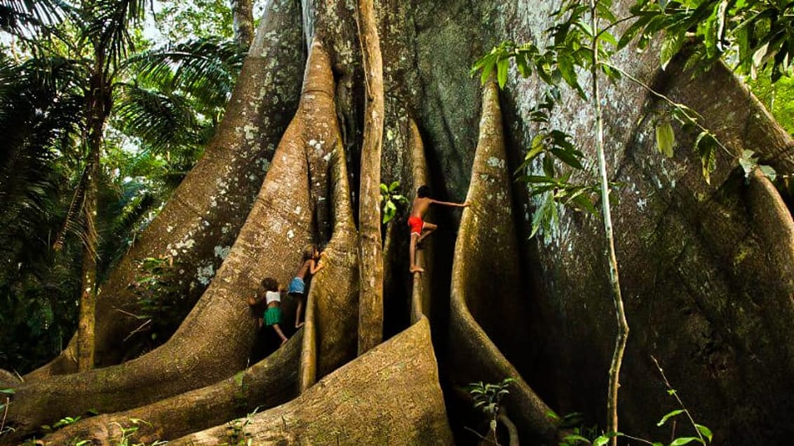 Familjeäventyr i Brasilien