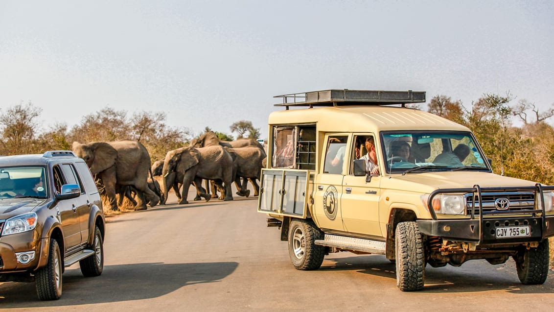 Mpala Safari Lodge, Sydafrika