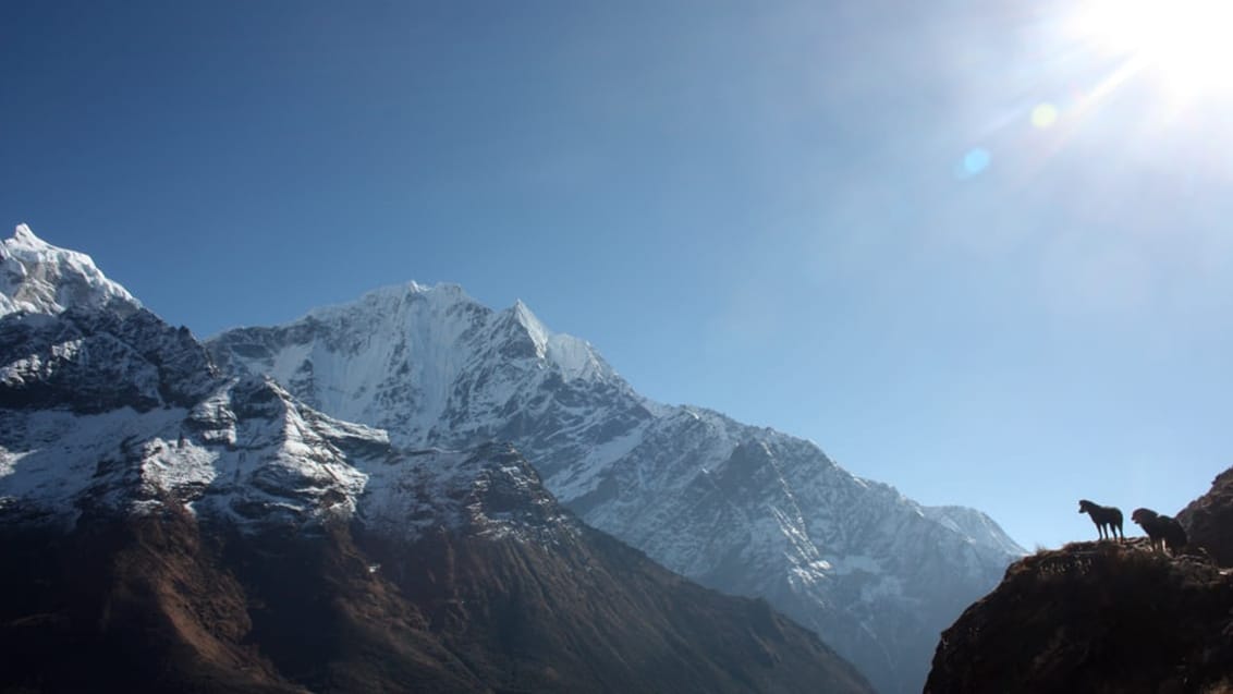 Nepal Everest Base Camp