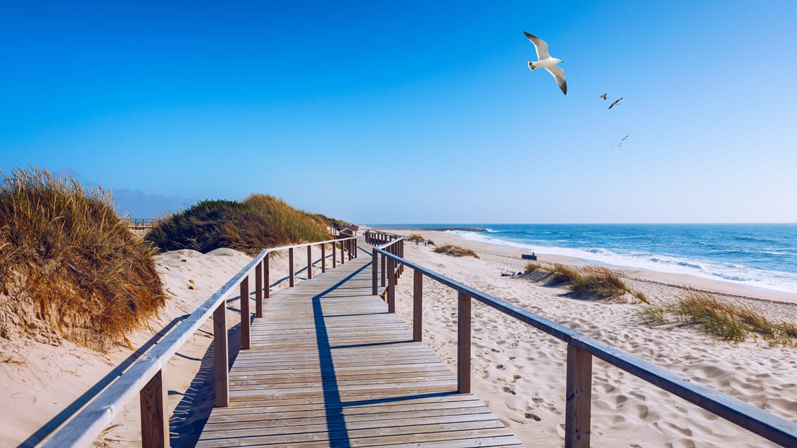 Road trip i Portugal
