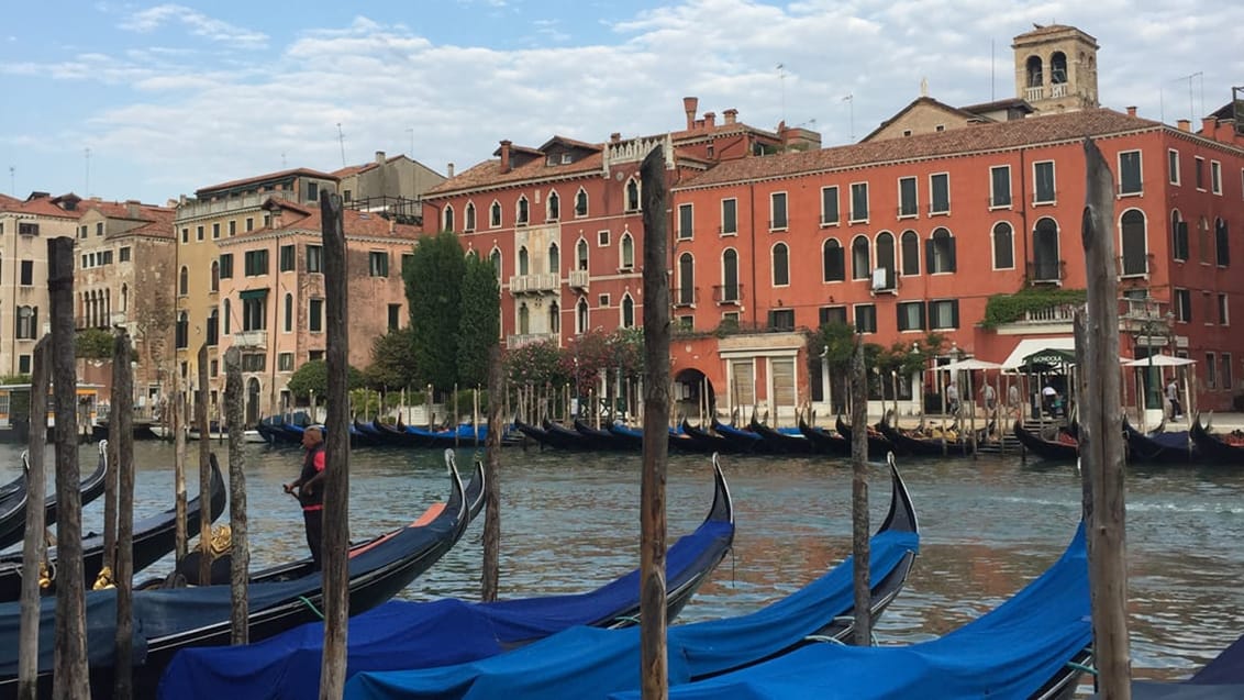 Venedig & Italiens höjdpunkter