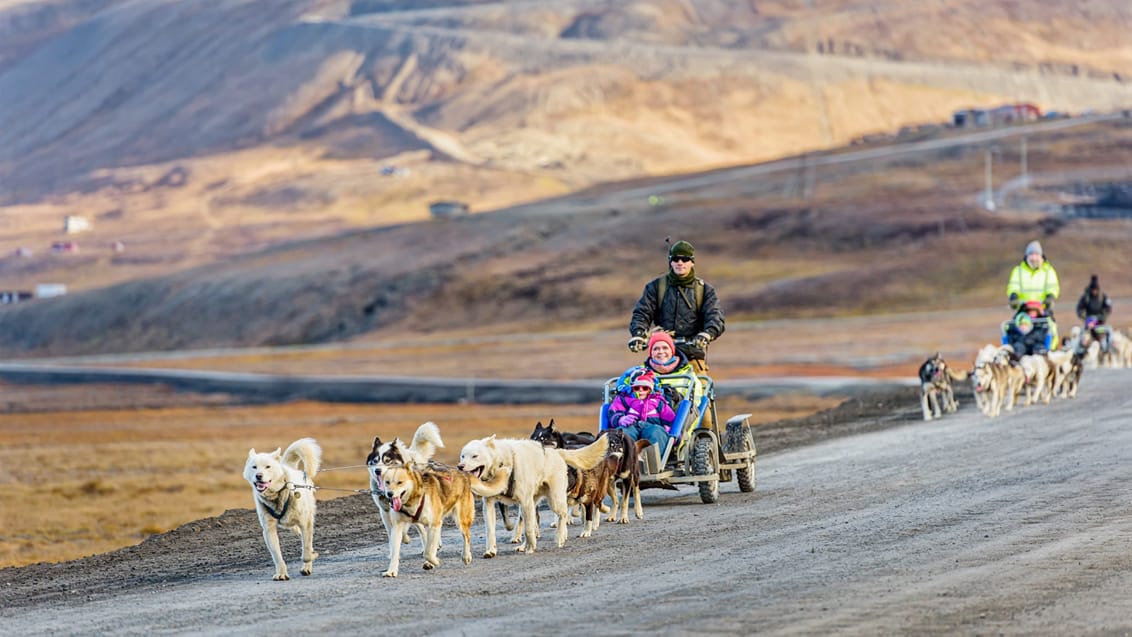 Familjeäventyr Svalbard