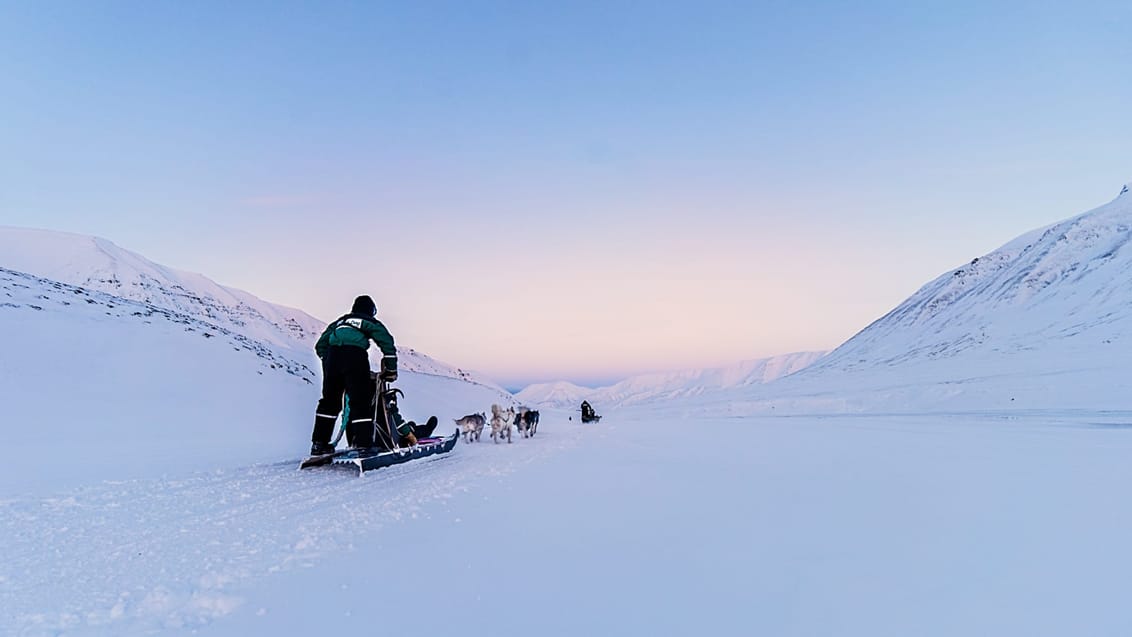 Snöskoter & hundspann