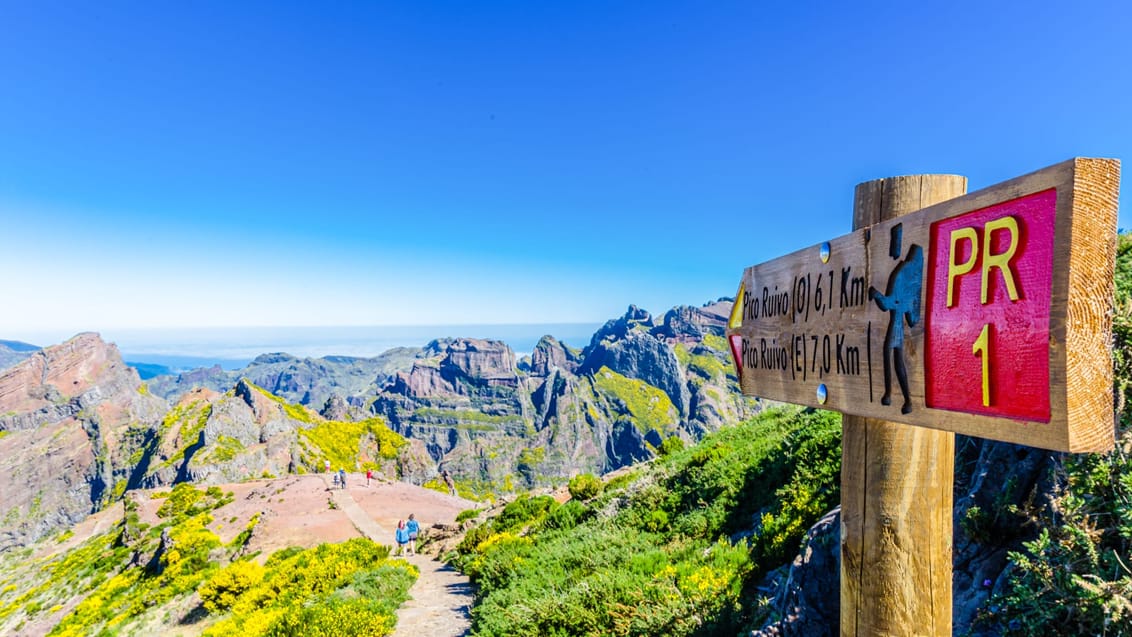 Upplevelser & äventyr på Madeira