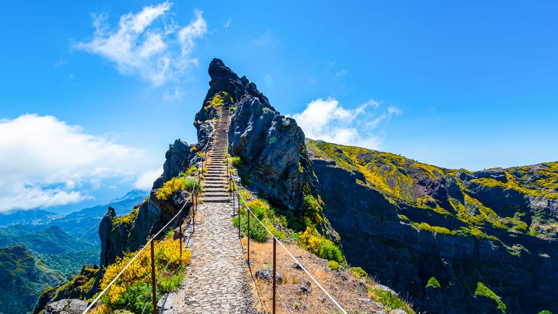 Upplevelser & äventyr på Madeira