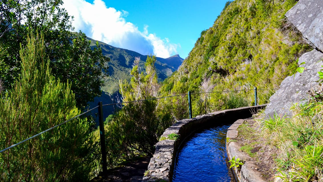 Upplevelser & äventyr på Madeira