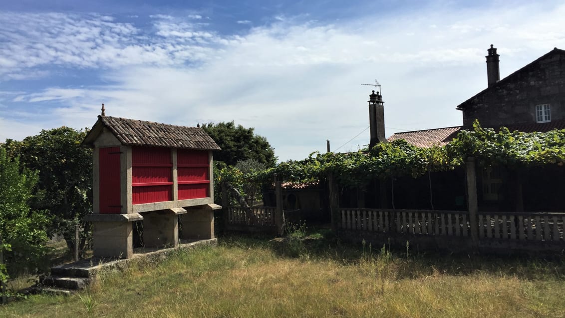 Camino Portugés