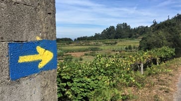 Camino Portugés till Santiago de Compostela