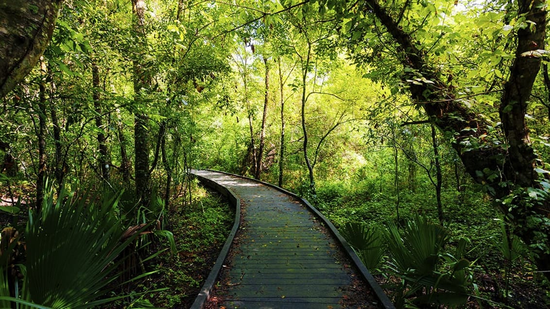 Bako Nationalpark, Malaysia