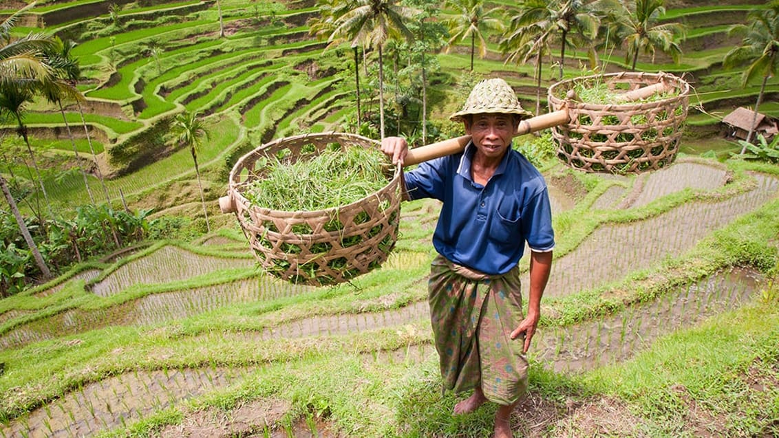 Bali