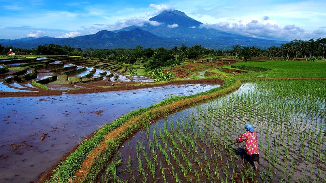 Bali