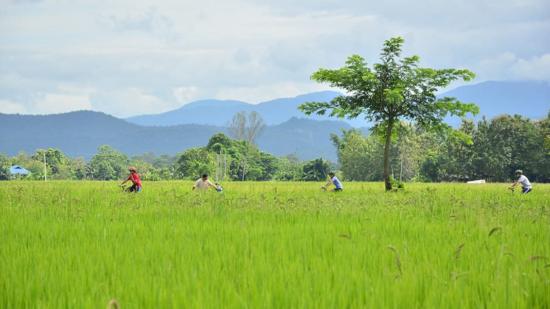 Bike tour, Chiang Mai, Thailand