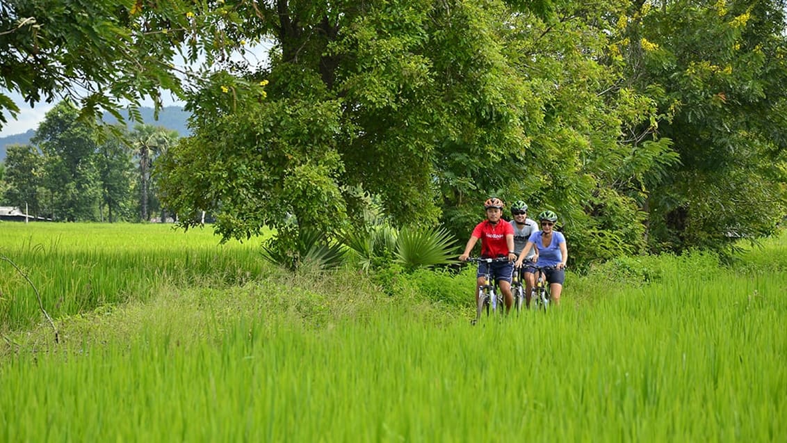 Bike tour, Chiang Mai, Thailand
