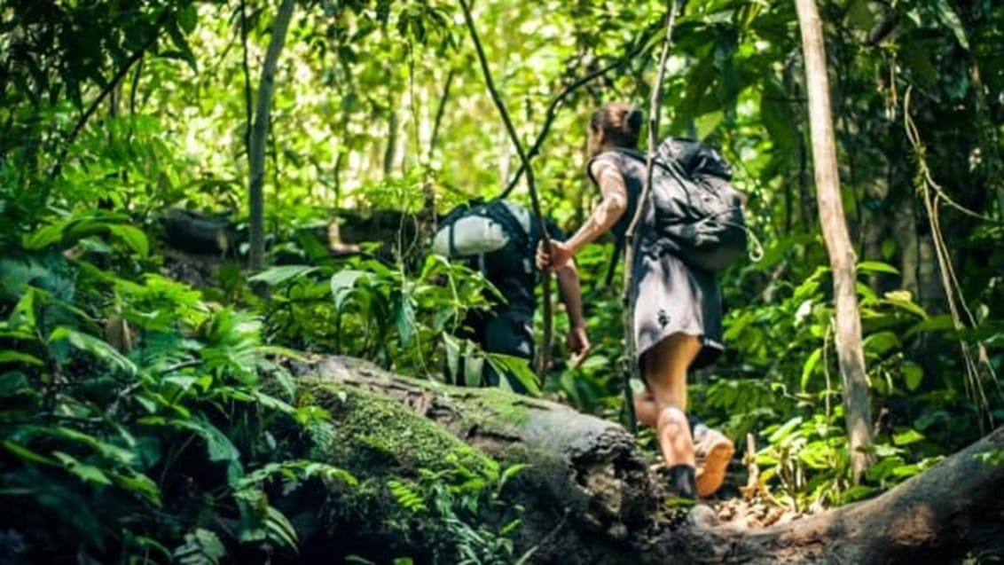 Djungelvandring, Bukit Lawang, Sumatra, Indonesien