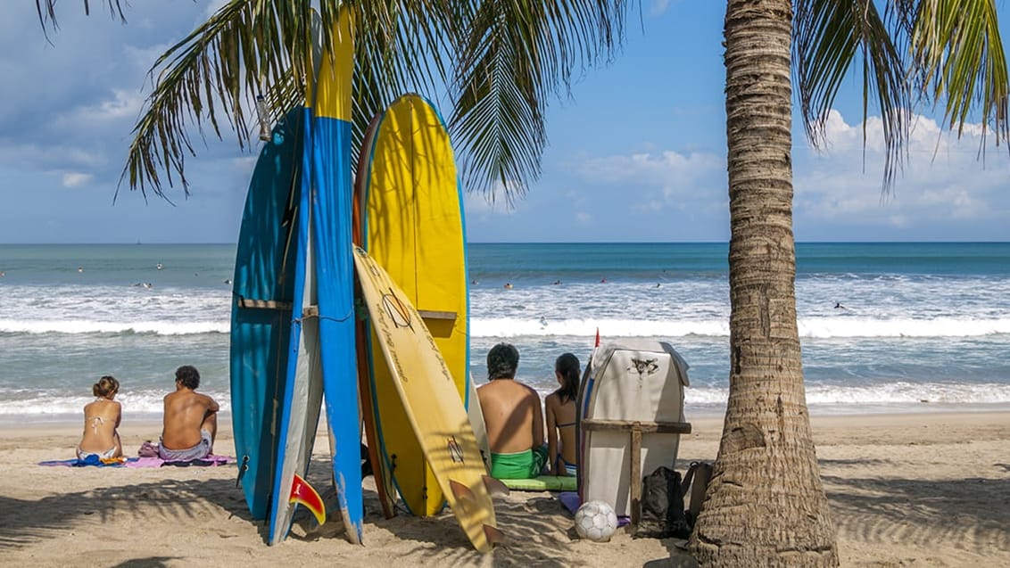 Canggu Surf Bali