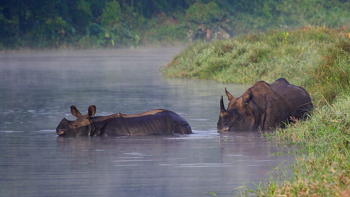 Chitwan, Nepal