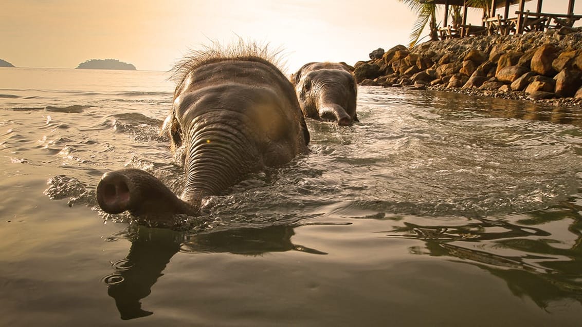 Chitwan, Nepal