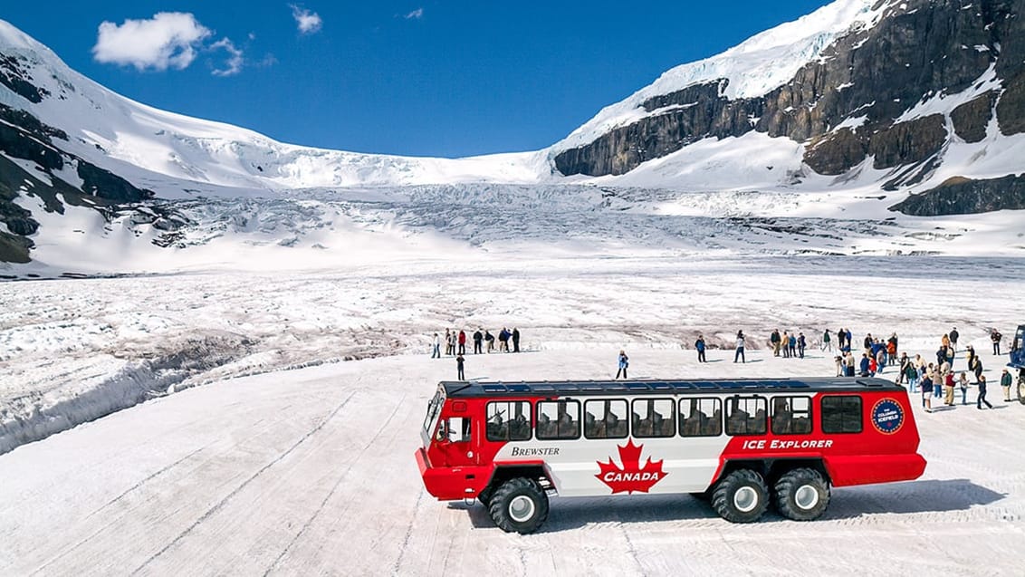 Columbia Icefield, Jasper National Park, Kanada