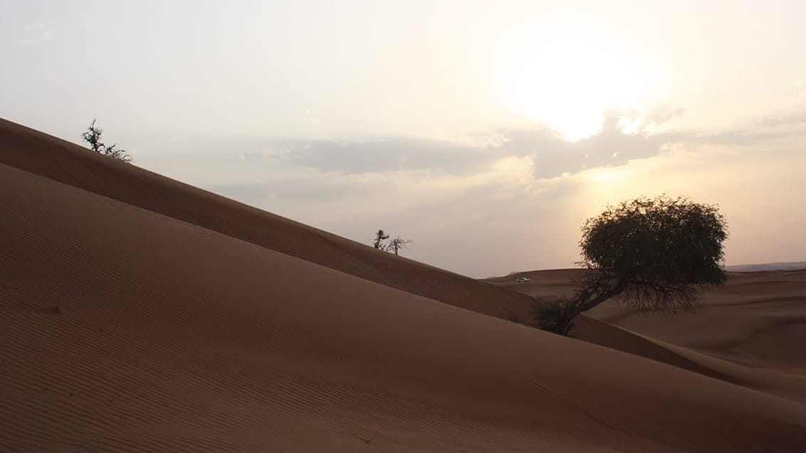 Upplev de fantastiska solnedgångarna över öknen i Dubai