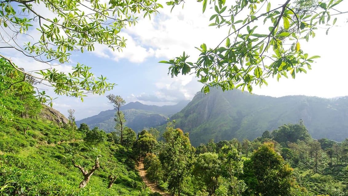 Ella, Sri Lanka