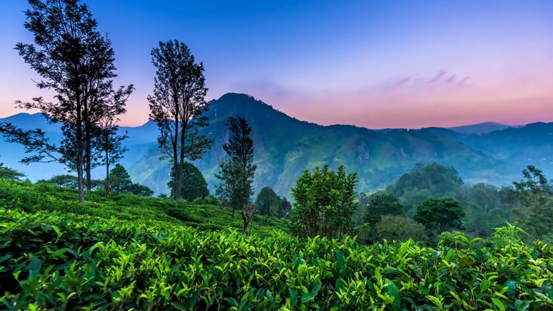 Ella, Sri Lanka