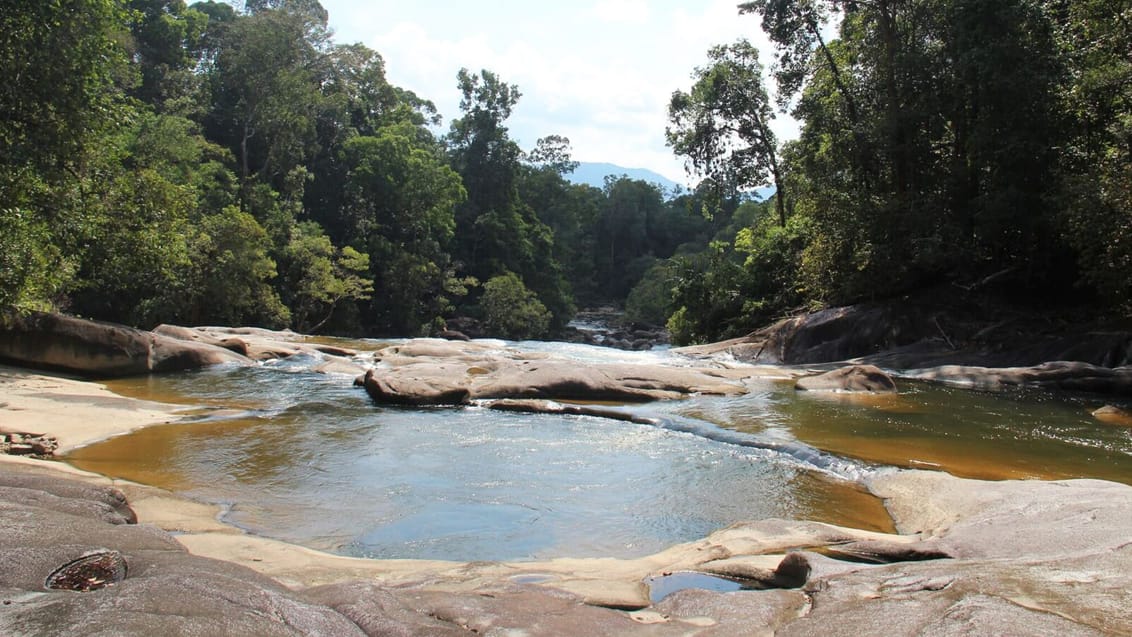 Endau Rompin, Malaysia