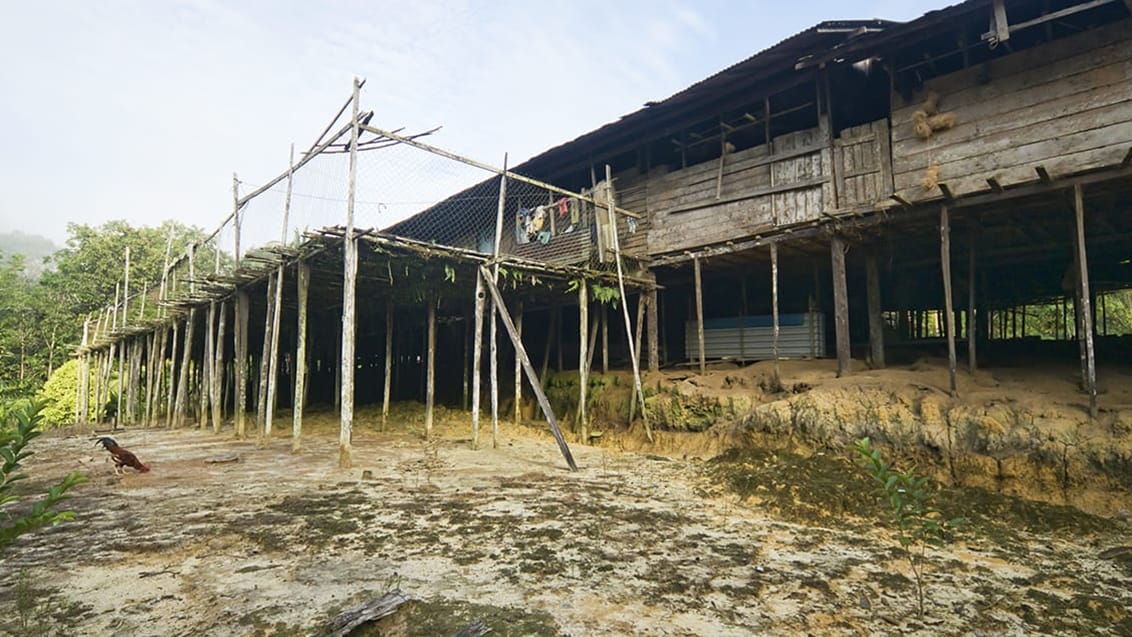 Ibanfolket och Lemanakfloden, Borneo