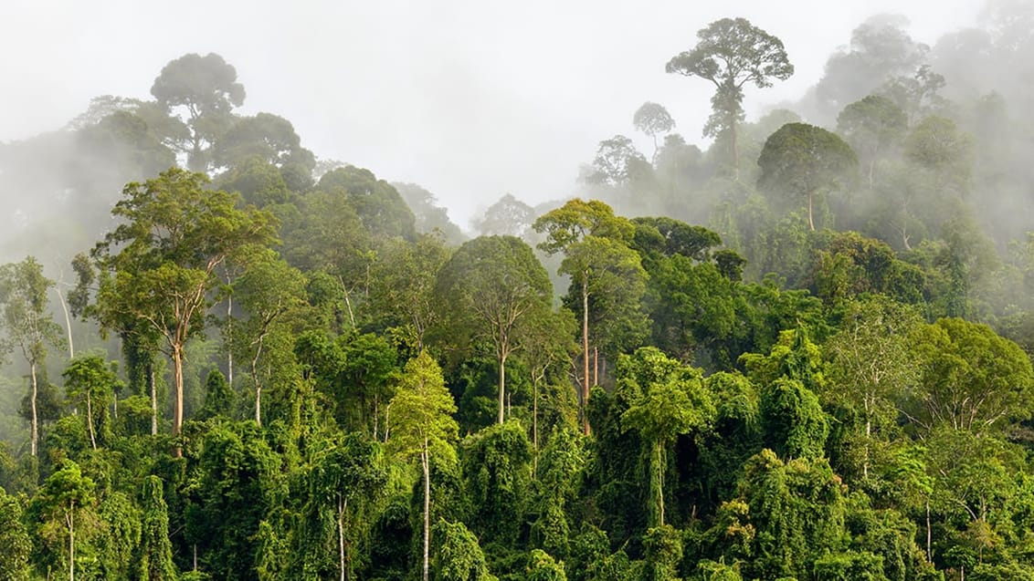 Kalimantran, Indonesien