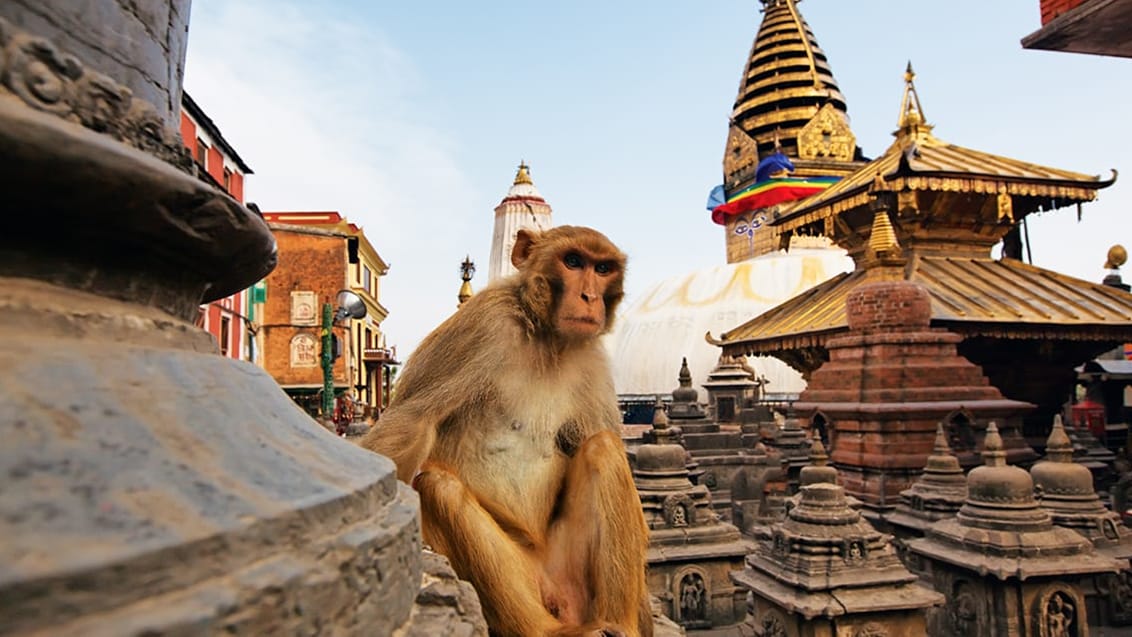 Kathmandu, Nepal