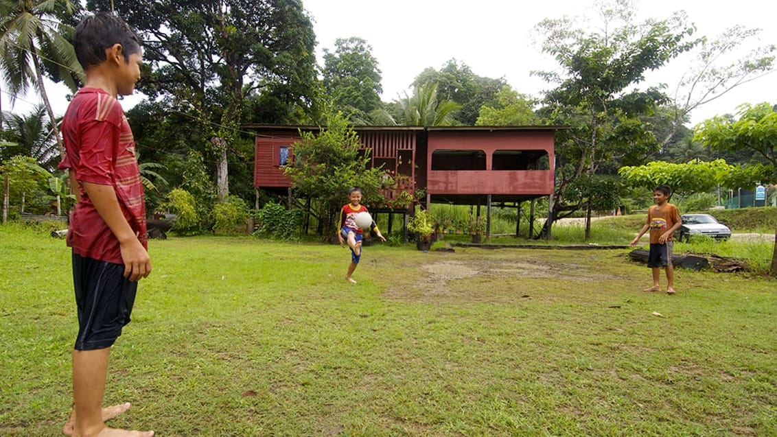 Kinabatangan, Borneo