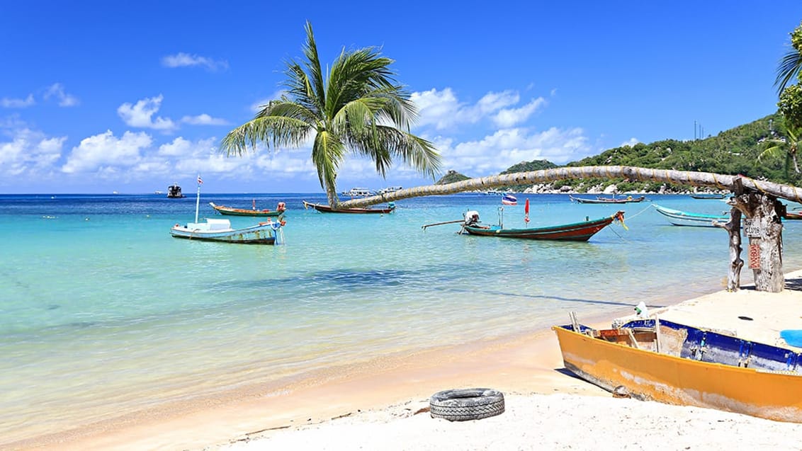 Koh Tao, Thailand