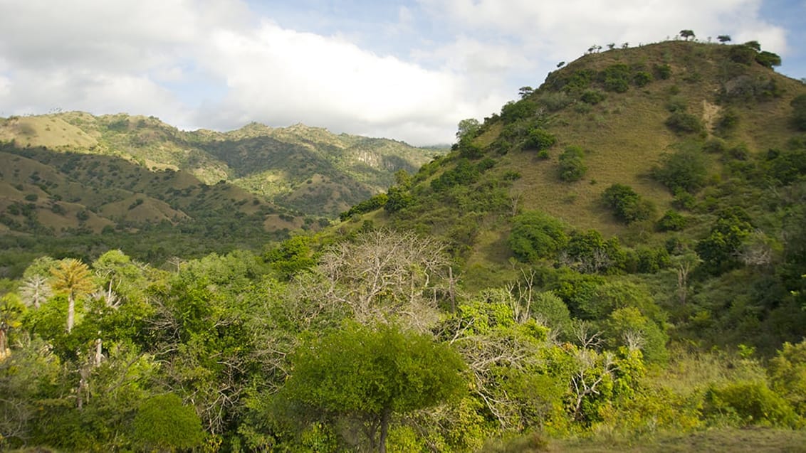 Komodo Islands, Indonesien